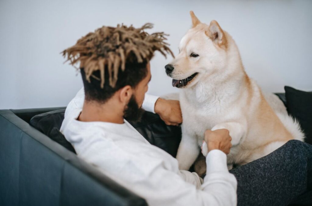 hochwertiges Trockenfutter Hund